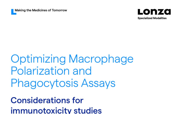 Optimizing Macrophage Polarization and Phagocytosis Assays