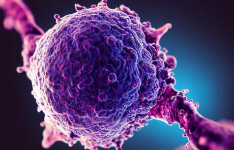 Beyond Checkpoints: Strategic Use of CDX Models in Emerging IO Therapies