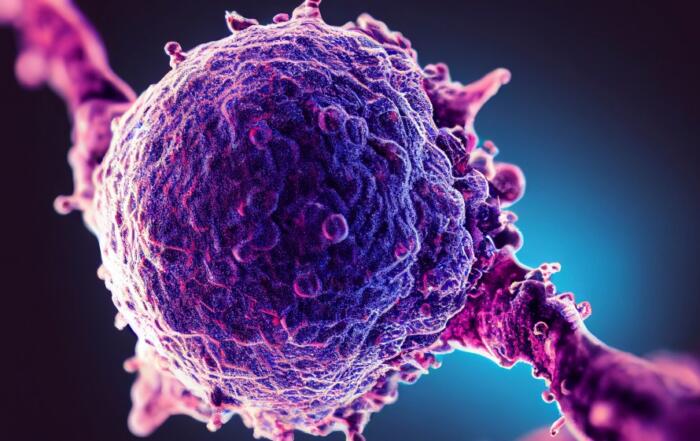 Beyond Checkpoints: Strategic Use of CDX Models in Emerging IO Therapies