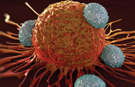 Vaccine-Boosting CAR T Cells Against Solid Tumors