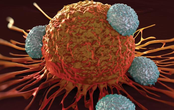 Vaccine-Boosting CAR T Cells Against Solid Tumors