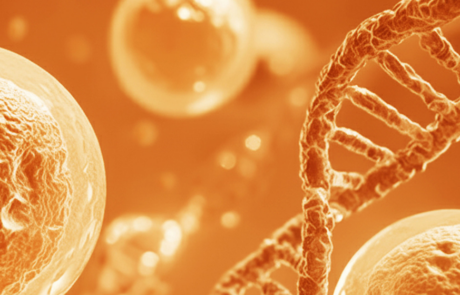 In Vivo panCAR™ Therapy Using Circular RNA for the Treatment of Autoimmune Disease
