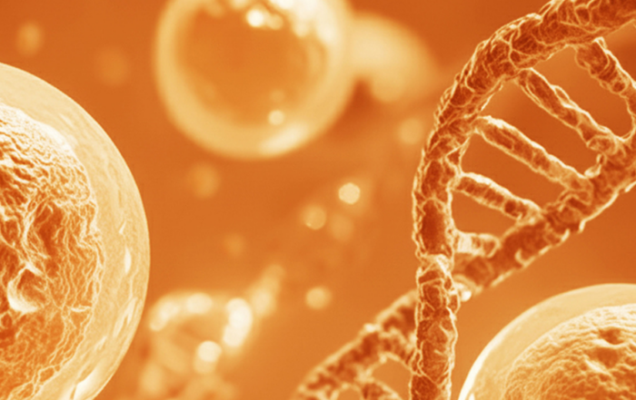 In Vivo panCAR™ Therapy Using Circular RNA for the Treatment of Autoimmune Disease