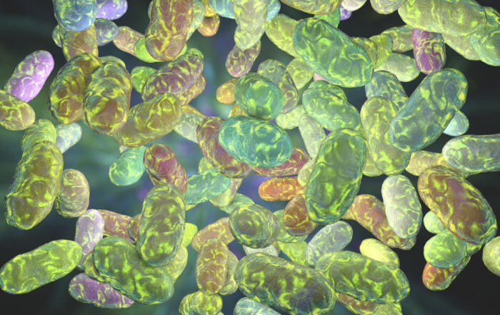 Oral Microbiome as a Biomarker for Pancreatic Cancer Risk