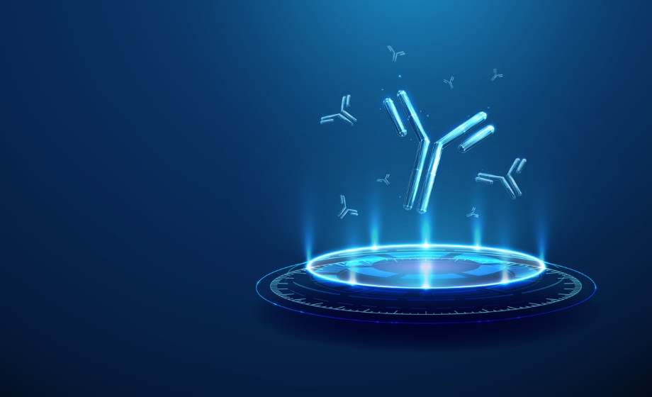 Protein-Protein Interaction (PPI) Landscape – Sequence-to-Affinity Heatmaps for High-Throughput Antibody Optimization