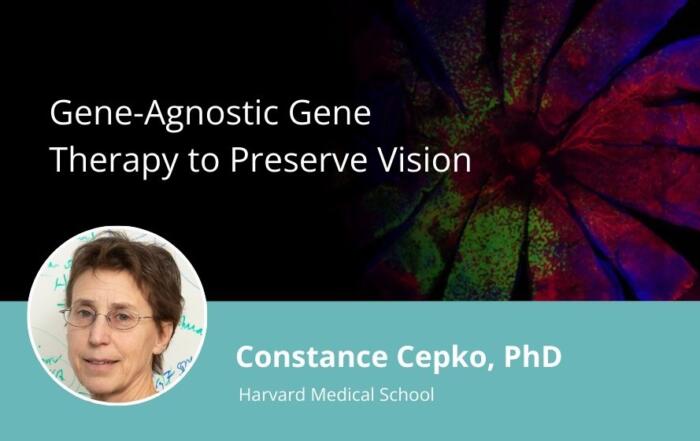 Gene-Agnostic Gene Therapy to Preserve Vision
