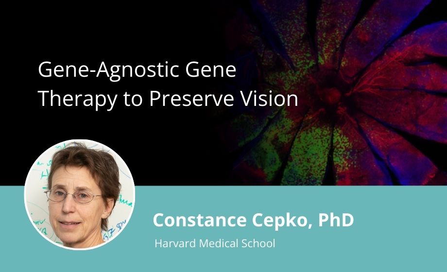 Gene-Agnostic Gene Therapy to Preserve Vision