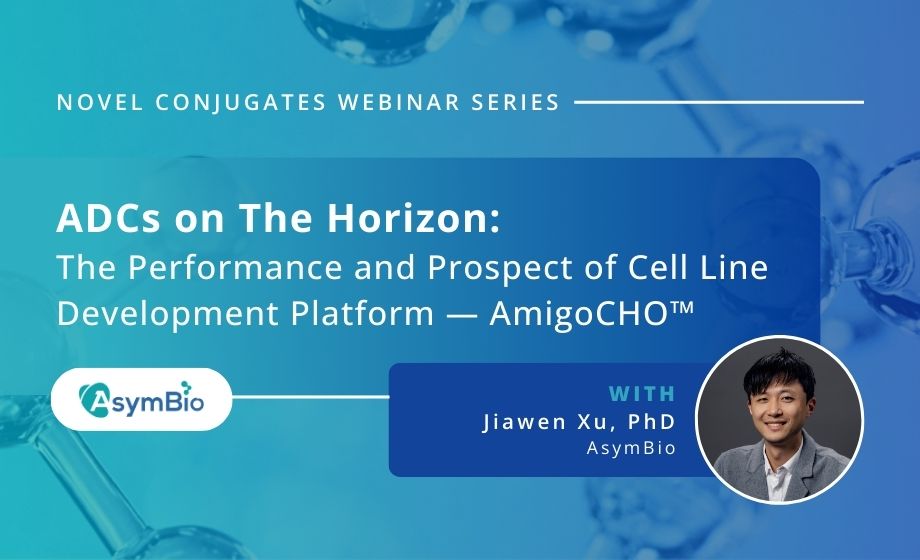ADCs on The Horizon: The Performance and Prospect of Cell Line Development Platform — AmigoCHO™