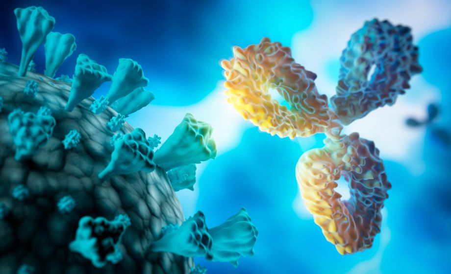 De-Risking Immunotherapy Targets with Next-Gen HLA Discovery Platforms