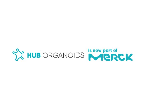 HUB Organoids