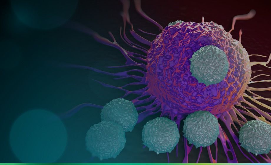 The Sound of Science - Mapping the Tumor Microenvironment for Advanced Therapeutic Strategies