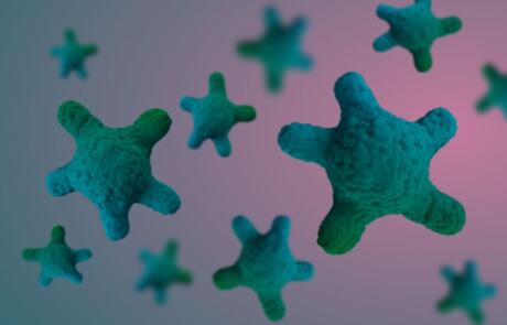 From Biopsy to Better Decisions: Patient-Derived Organoids Predict Treatment Response in Metastatic Colorectal Cancer