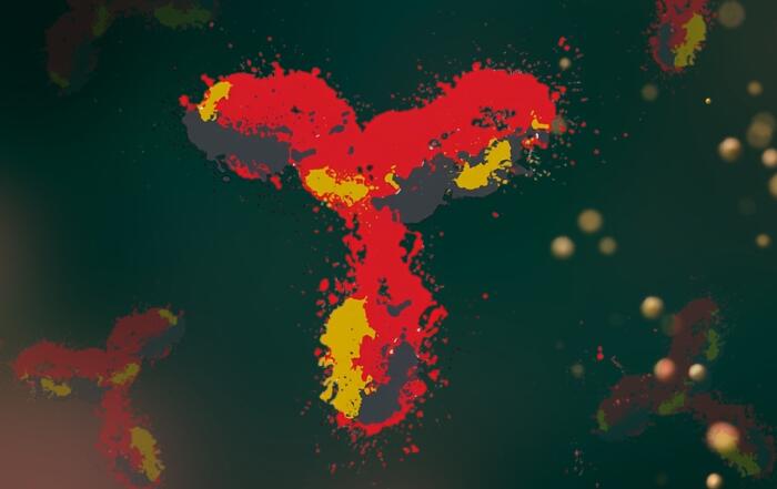 Next-Generation TCR-Like Antibodies With Improved Specificity Profiles