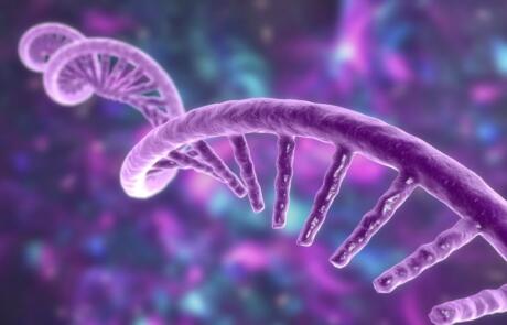High‑Throughput RT‑qPCR and Transcriptomics: Powering the Next Generation of Drug Discovery