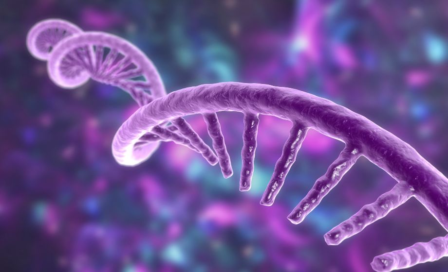 High‑Throughput RT‑qPCR and Transcriptomics: Powering the Next Generation of Drug Discovery