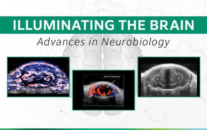 Illuminating the Brain: Advances in Neurobiology