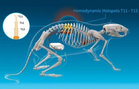 Engineering Neuromodulation for Cardiovascular Instability