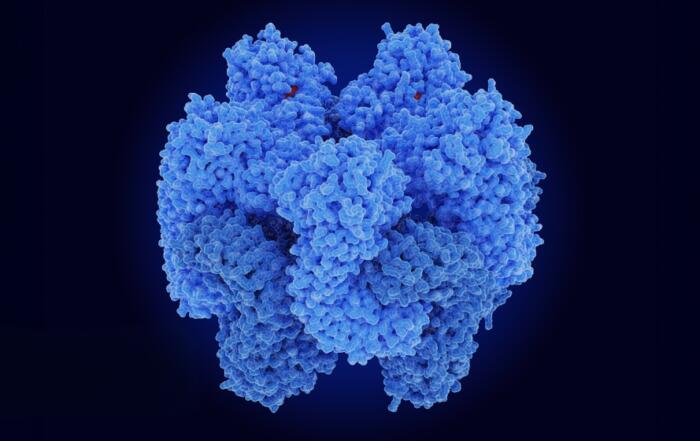 Translational Success in Inflammasome Drug Discovery: How Advanced Models and Integrated Assays Can Reduce Attrition