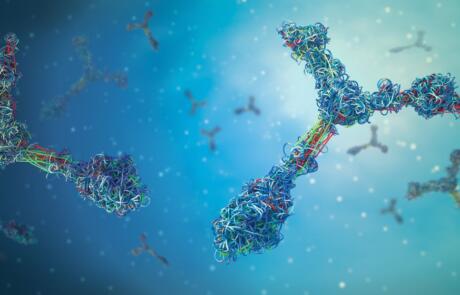 How to Avoid Expensive Redesign Cycles in Antibody Discovery