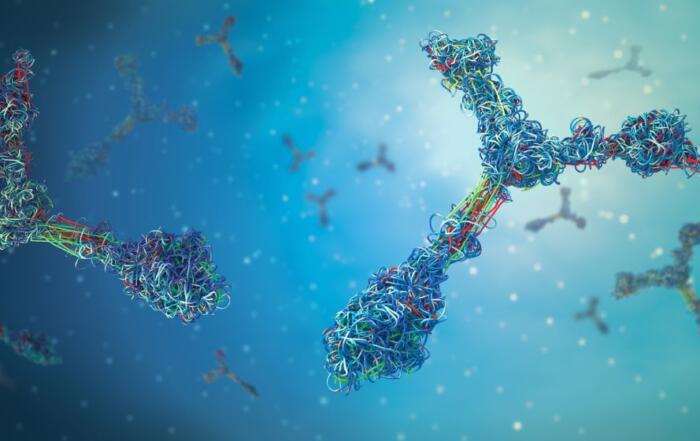 How to Avoid Expensive Redesign Cycles in Antibody Discovery