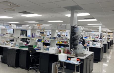 Industry Insights: Behind the Scenes of BPS Bioscience Custom R&D