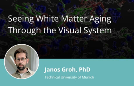 Seeing White Matter Aging Through the Visual System