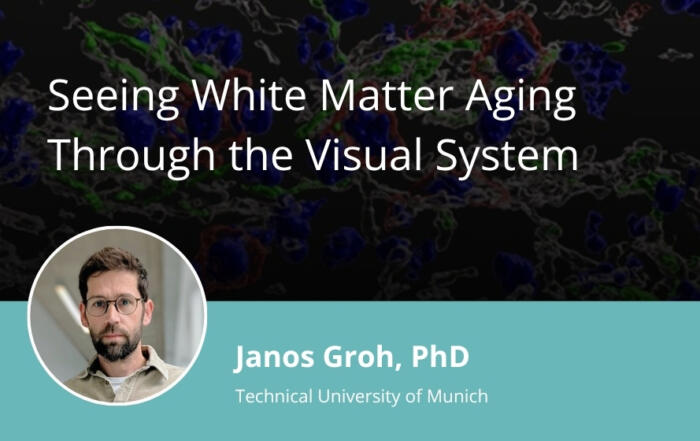 Seeing White Matter Aging Through the Visual System